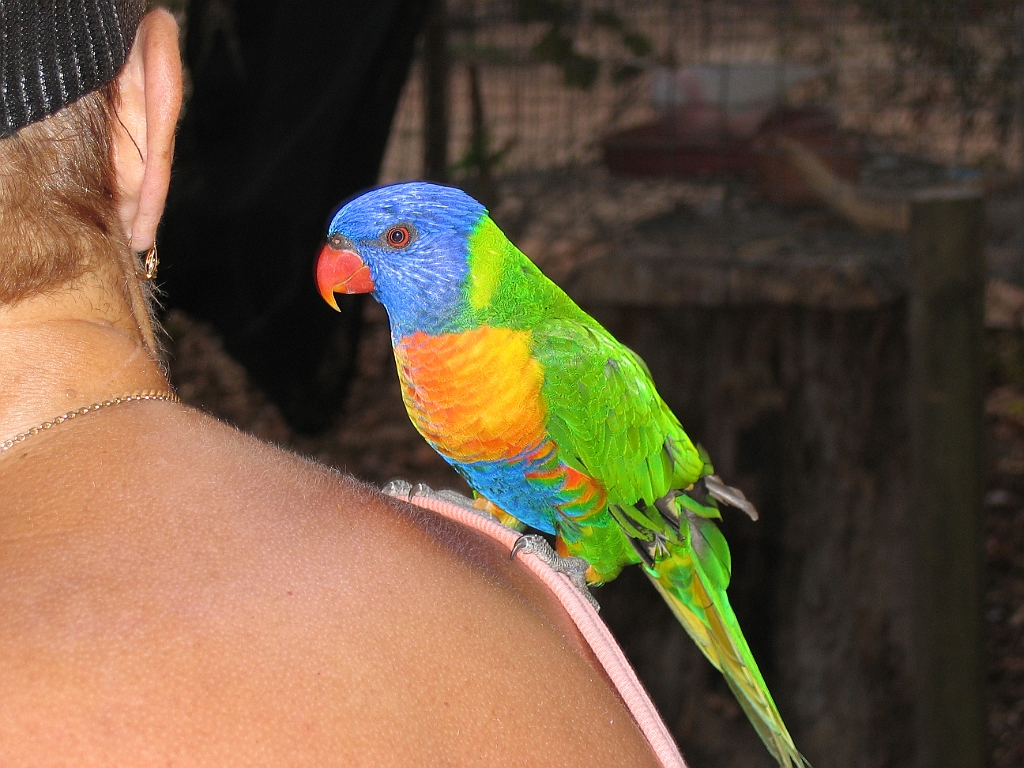 CairnsTC157 Granite Gorge.jpg